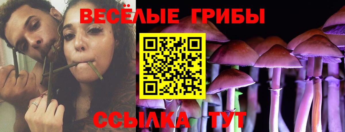 Псилоцибиновые грибы прущие грибы  Галлюциногенные грибы прущие грибы  Красногорск  Вход с VPN 